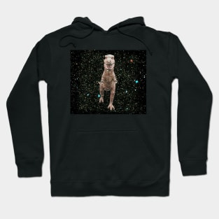 Vintage T Rex toy in space Hoodie